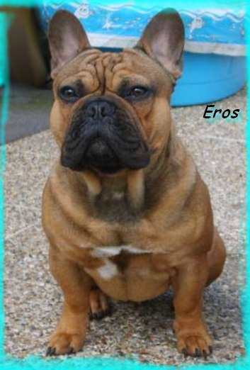 Eros des boules de Florialy