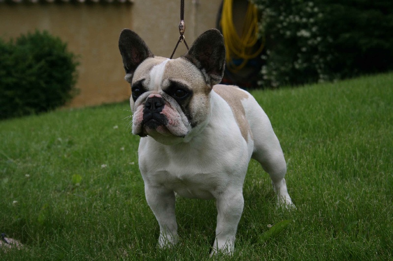 Ella des Légendes Minières