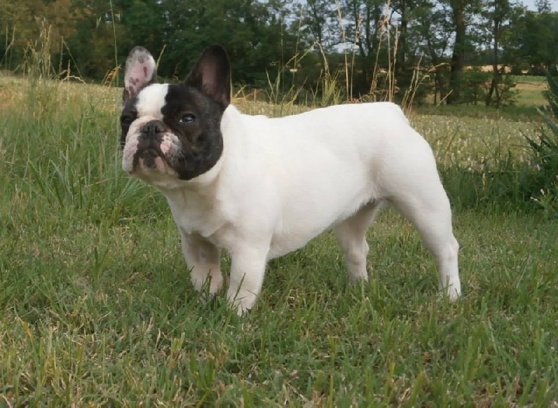 Les bébés de Greta et full Monty
