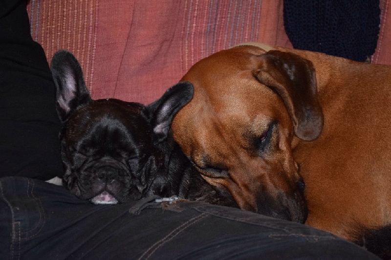Les bébés de Greta et Giovani